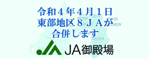 火山防災 防災 安全 火山防災 防災 安全