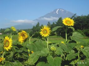 平成24年 7月