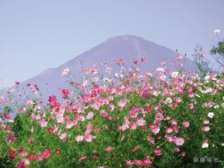 平成24年 10月