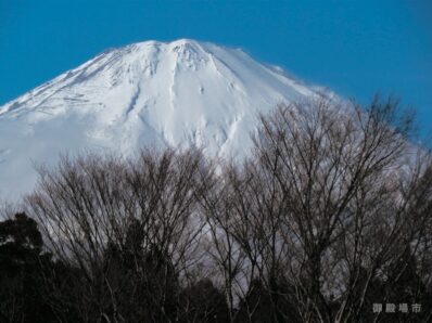 平成25年 1月