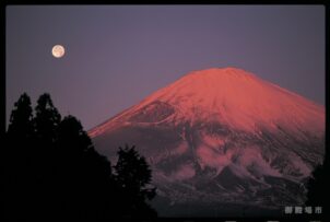 平成25年 2月