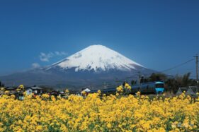 平成25年 4月
