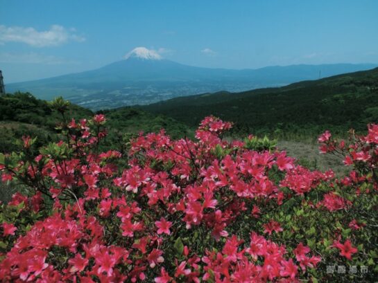 平成25年 6月