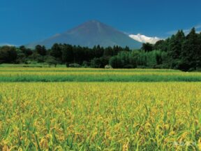 平成25年 9月