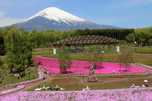 富士山樹空の森