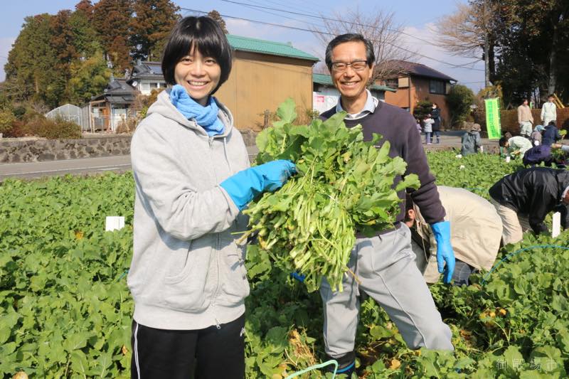 水かけ菜収穫体験