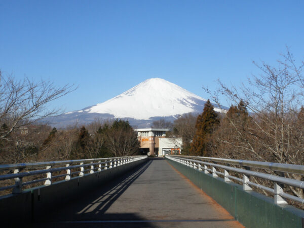 御殿場プレミアム・アウトレットからの富士山