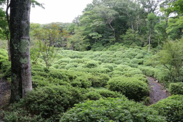 御胎内清宏園