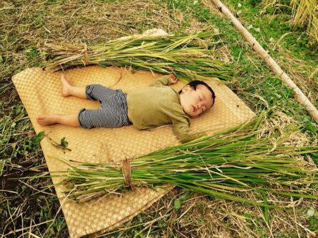 瀬戸さんご一家