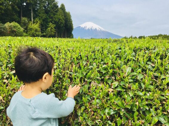 瀬戸さんご一家 S 7