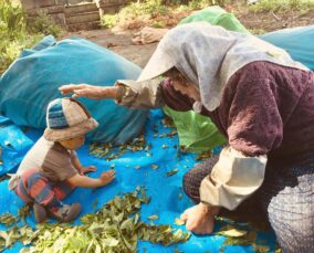 瀬戸さんご一家