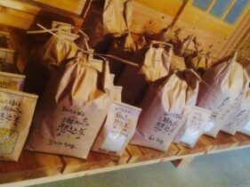 瀬戸さんご家族 I 9