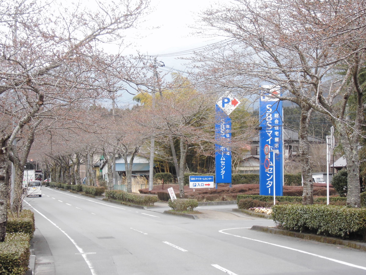 Sakura0406 御殿場の魅力