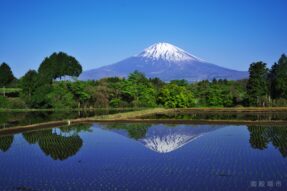 089f1c35d11ba147e9afeee6ff14c89f