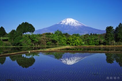 089f1c35d11ba147e9afeee6ff14c89f