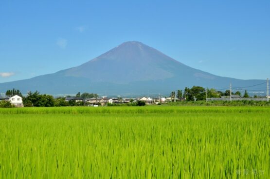 平成29年度御殿場市政カレンダー採用作品 御殿場の魅力