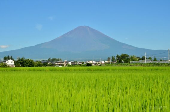 6cf729430adbabcb1a90c91d3202e025