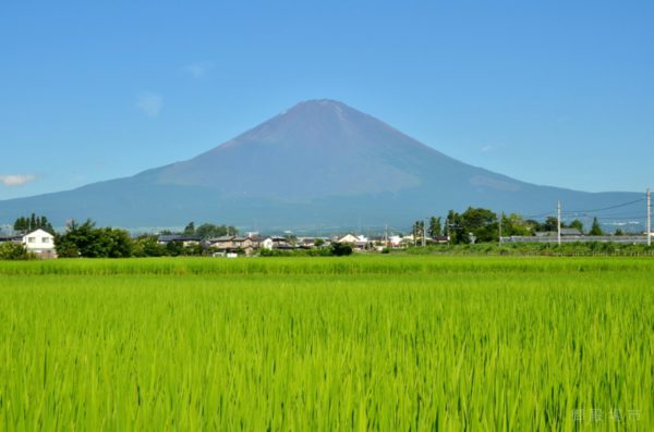 平成29年カレンダー