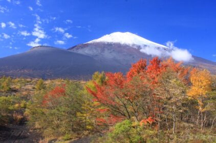 76cdf230204b3bcf57e772537b658068