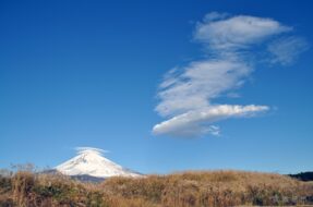 79b3bb6f6f0b4c28ebec4910d14e483a