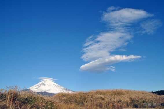 79b3bb6f6f0b4c28ebec4910d14e483a