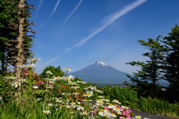 平成29年カレンダー