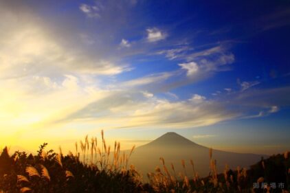 A6d339de9075a18e584db2b93e750830