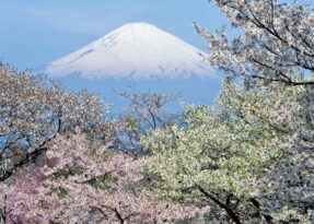 E6027e7db459c00cc9377c7dcabc55e1