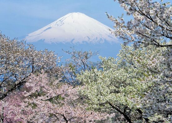 E6027e7db459c00cc9377c7dcabc55e1