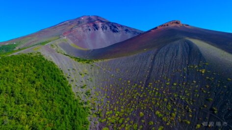 E66d303ea81e617d8d09a47790292ad2