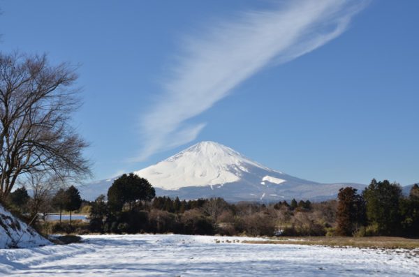 平成29年カレンダー