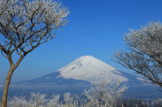 02e15ebc60b8bd2d87a13c1e03964cfc