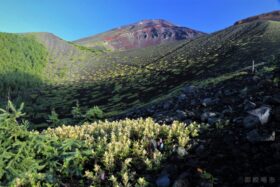 0833426f4e27039f18f957f5c9d46385