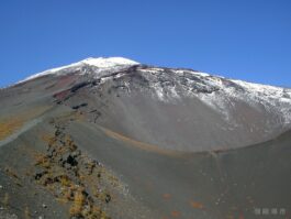 1023ae409e51f3cc5a8797391cb55beb