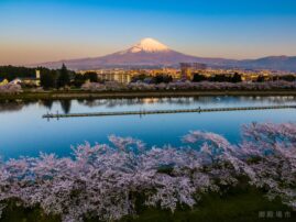 18a0cc5a4d3370502c11e2b7329bc696