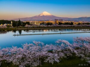 18a0cc5a4d3370502c11e2b7329bc696