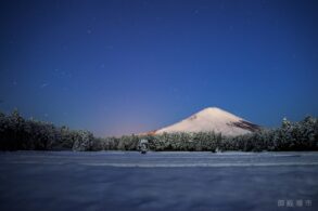 23451820282fc46550f0f8eaf7599849