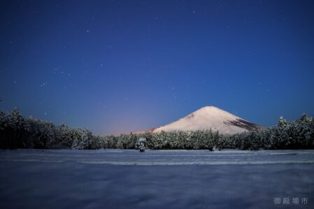 23451820282fc46550f0f8eaf7599849