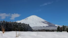 6168aedf1dea73cab3752ed2732f0019