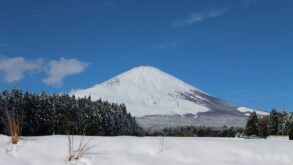 6168aedf1dea73cab3752ed2732f0019