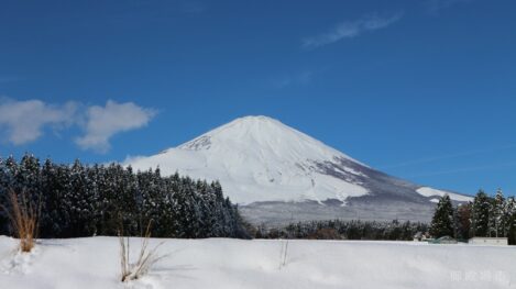 6168aedf1dea73cab3752ed2732f0019