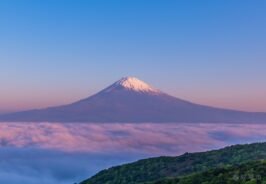 64dbf8f9ba11ee42eca6c95eaeaf7fc8