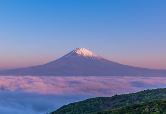 64dbf8f9ba11ee42eca6c95eaeaf7fc8