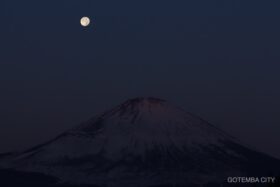 Th IMG 9295 280x187