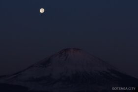 Th IMG 9295