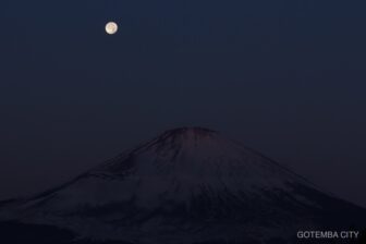 Th IMG 9295