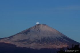 Th IMG 9422