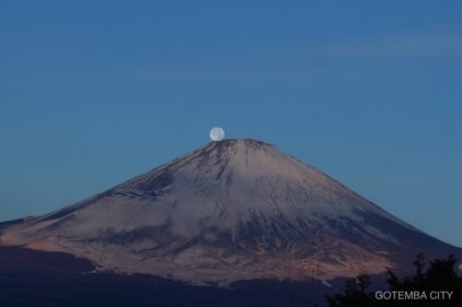 Th IMG 9422