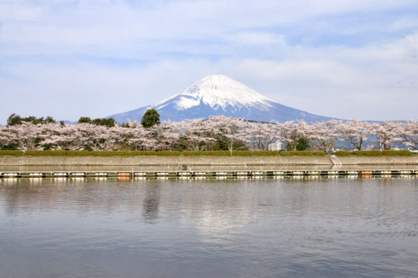 春の富士山