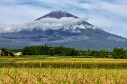 Inahofuji 423x282